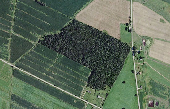 A forest surrounded by agricultural land will have substantially different plant and animal communities than one that is surrounded by more forest.